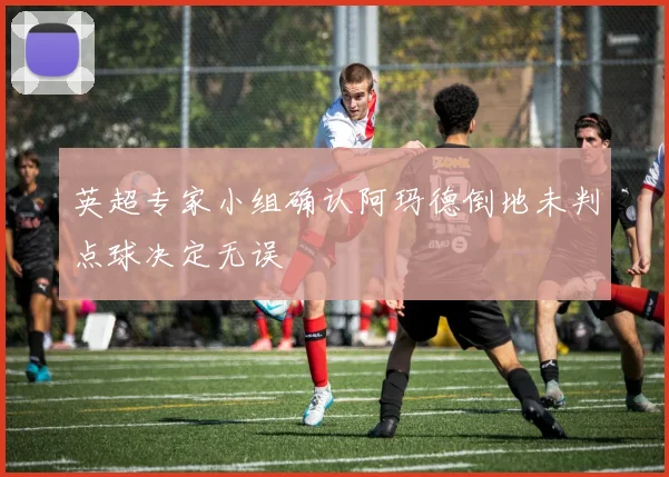 英超专家小组确认阿玛德倒地未判点球决定无误