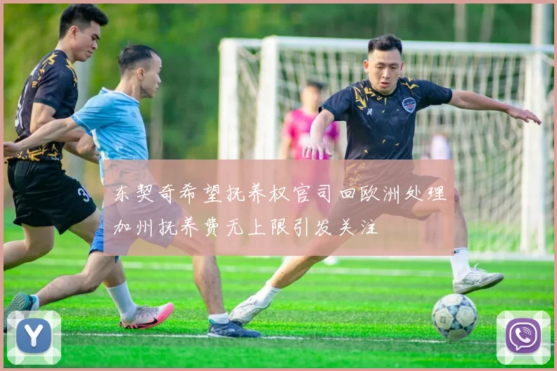 东契奇希望抚养权官司回欧洲处理加州抚养费无上限引发关注